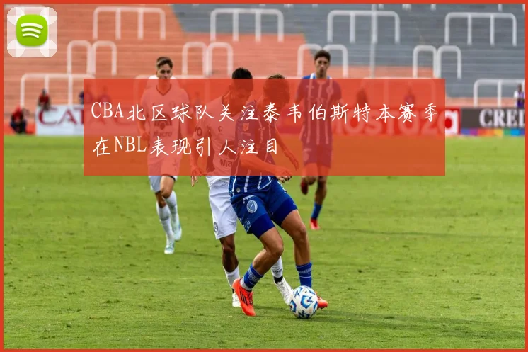 CBA北区球队关注泰韦伯斯特本赛季在NBL表现引人注目