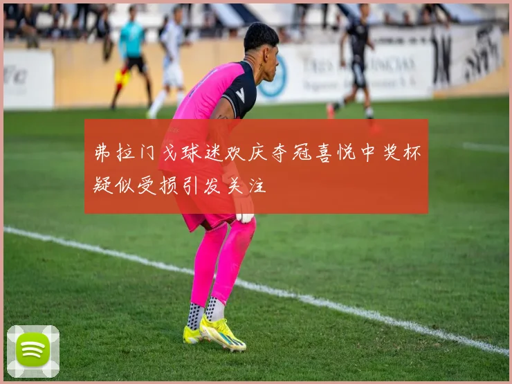 弗拉门戈球迷欢庆夺冠喜悦中奖杯疑似受损引发关注
