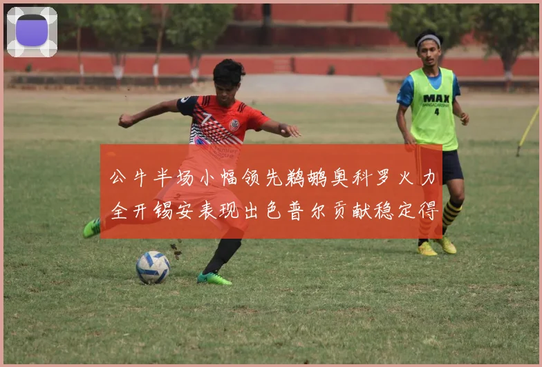 公牛半场小幅领先鹈鹕奥科罗火力全开锡安表现出色普尔贡献稳定得分