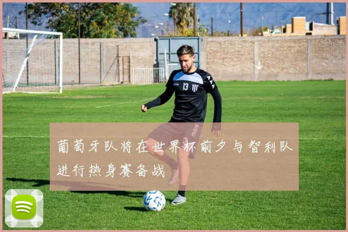 葡萄牙队将在世界杯前夕与智利队进行热身赛备战