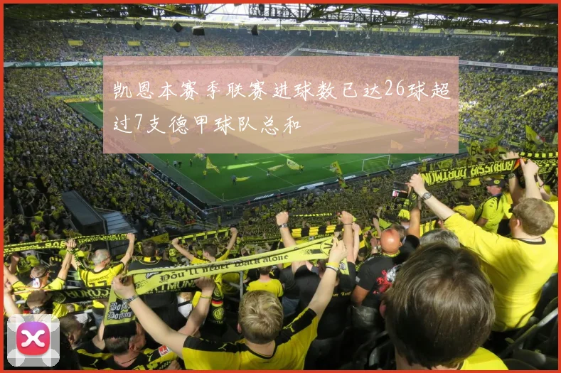 凯恩本赛季联赛进球数已达26球超过7支德甲球队总和